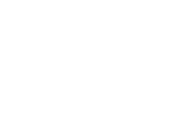 DigitalOtoTransport.com